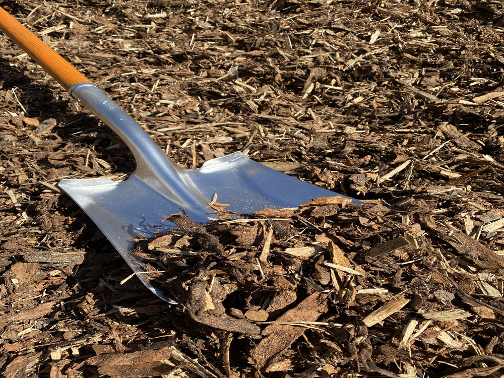 Shredded Pine Bark Mulch