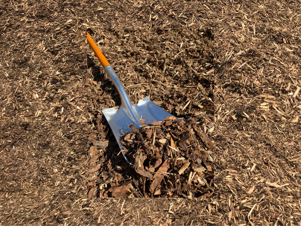 Shredded Pine Bark Mulch